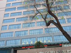 -山东省眼科医院