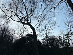 -南山风景名胜区