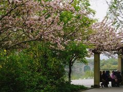 -成都南湖公园
