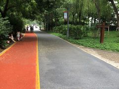 -大兴滨河森林公园