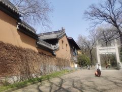 -灵谷景区