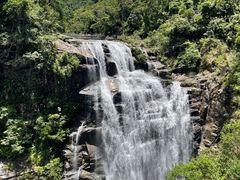 -海南热带雨林国家公园吊罗山景区