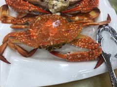 -春园海鲜广场D区6号(钟姐海鲜加工店)