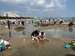 -日照灯塔风景区