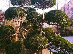 -兰溪青年公园