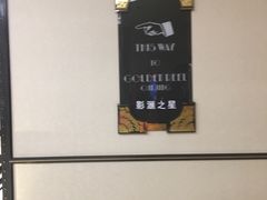 -影汇之星8字形摩天轮