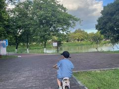 -鹤之洲湿地公园