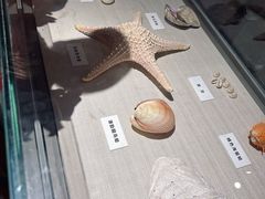 -重庆自然博物馆(新馆)