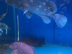 -金悦轩海鲜酒家(银河店)