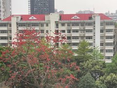 -广州花园酒店