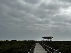 -北海金海湾红树林生态旅游区