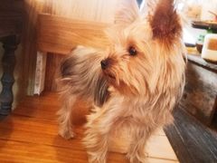 -春风十里咖啡馆