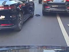 -瑞派福兴宠物医院犬猫全科·骨科·中西医结合(河东店)