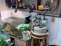 -Rabbit Cafe私房西餐甜点咖啡(栖霞路店)