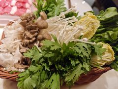 金针菇-涮福記·现切牛羊肉火锅(世纪汇店)