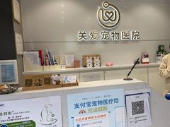 -关爱宠物医院·猫科中心·消化科(滨湖万达分院)