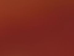 -798餐厅(任丘路店)