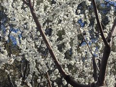 -国家图书馆·古籍馆