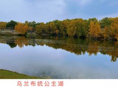 -乌兰布统草原
