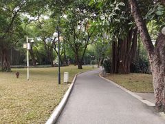 -晓港公园