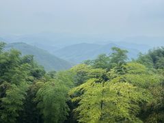 -莫干山风景区