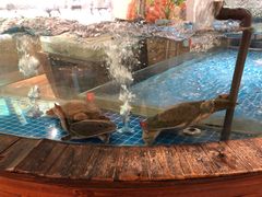 -香山湖家家宴(中山陵店)