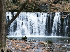 -吊水壶国家森林公园