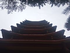 -缙云山景区