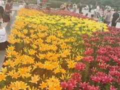 -长春公园(普阳街道)