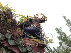 -深圳国际园林花卉博览园