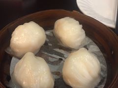 -添运来(茶园奥园广场店)