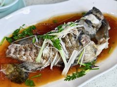 -巧克力渔家.小船海鲜胶东菜(万平口店)