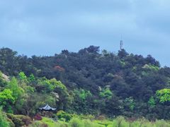 -东钱湖旅游度假区