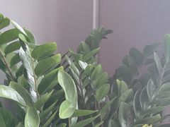 -江仙雅居(中航国际店)