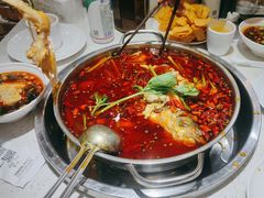 -蛙蛙鸡冷锅鱼(驷马桥店)