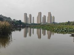 -前关湿地公园