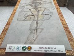 -中国西峡恐龙遗迹园
