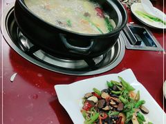 -蘑统田下·野生菌火锅