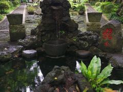 -海口火山口国家地质公园