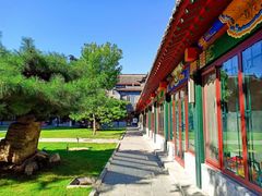 -护国法轮寺