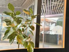 -SHAN山(前滩太古里店)