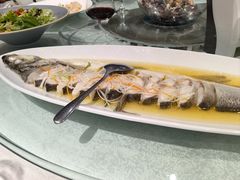 -金枝玉叶上海人家食府(三里河店)