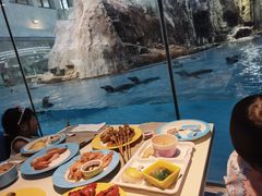 -帝企鹅自助餐厅•儿童岛•真企鹅(长隆企鹅酒店)