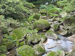 -剑门关风景区