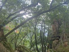 -丹东市五龙山风景区