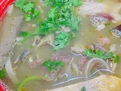 羊汤-春雨羊汤店(广开四马路总店)