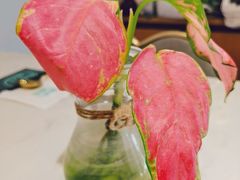 -后海16号·北京私房菜