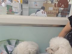 -达爱动物医院·犬猫分区·CT·复杂眼科(远洋山水分院)