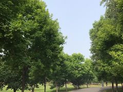 -东郊湿地公园