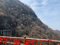 -少华山国家森林公园